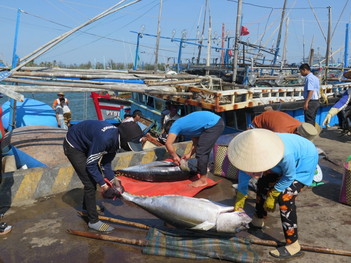 EC recognises Vietnam’s efforts to fight IUU, to conduct inspection in Q1, 2022